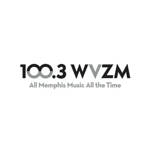 100.3 WVZM Visible Radio ラジオ