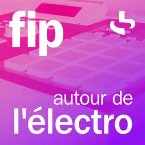 エレクトロ関連のFIP