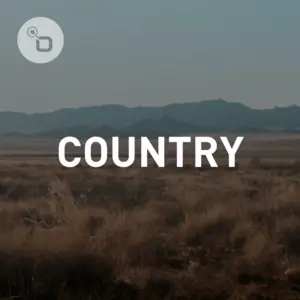 国