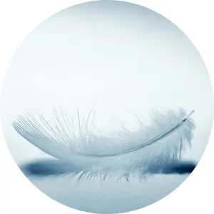 OpenFM - やさしさの国