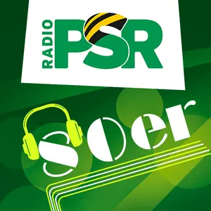 ラジオ PSR 80er