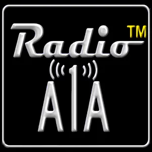 無線A1A